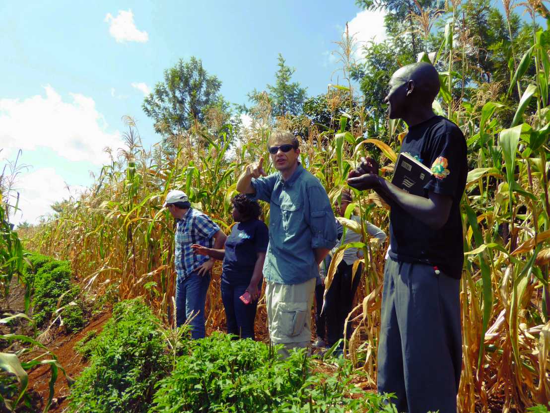 Maize field in Kenya with project partners
