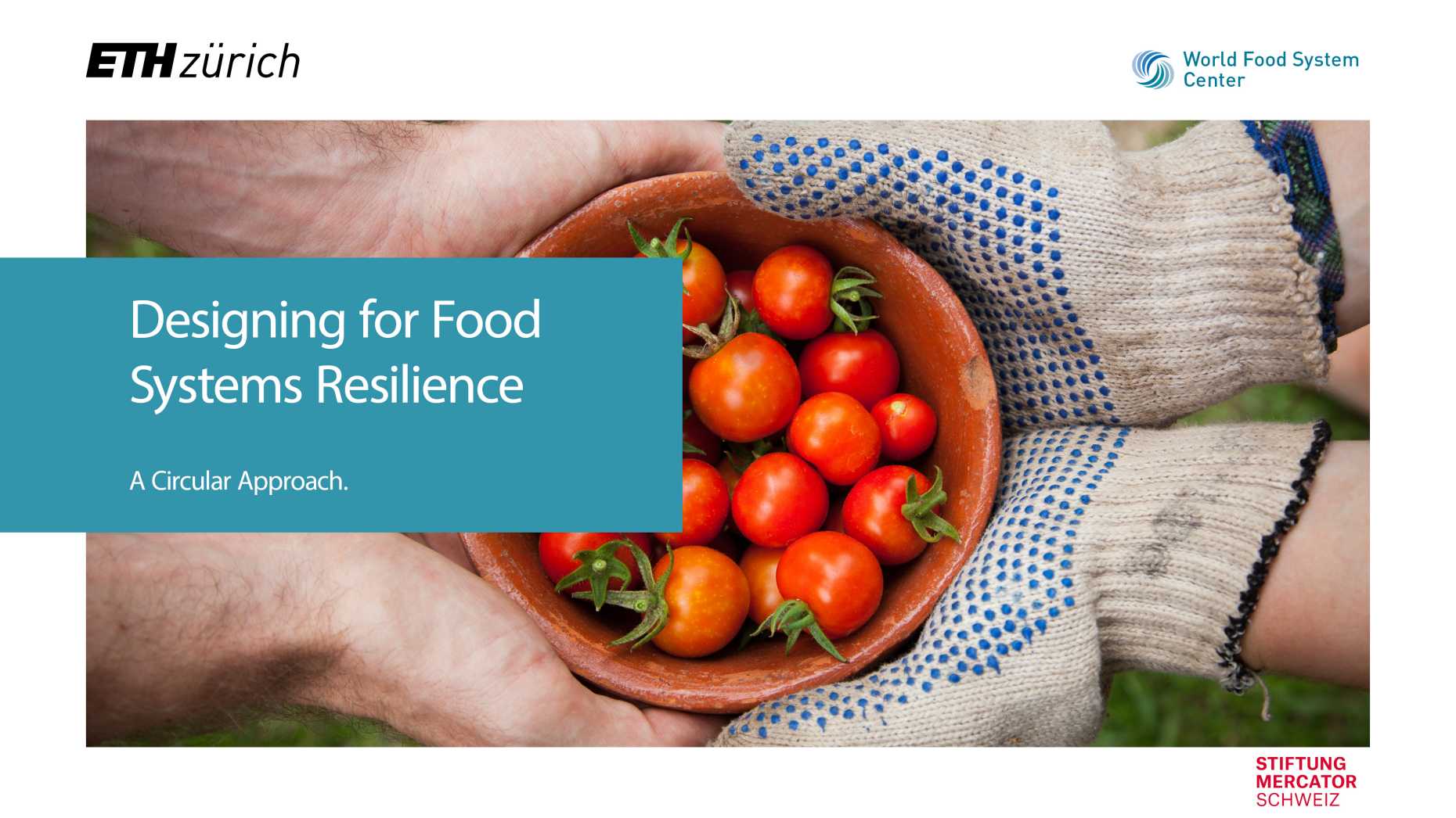Designing for Food Systems Resilience