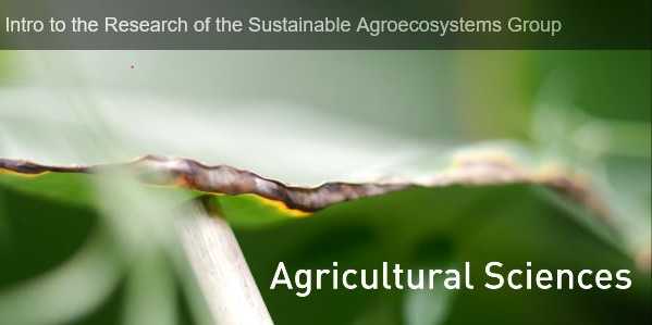 Intro to the Research of the Sustainable Agroecosystems Group